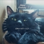 userPhoto