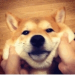 ユーザー画像