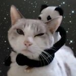 くのっふ