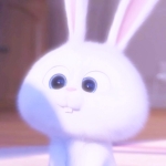 userPhoto