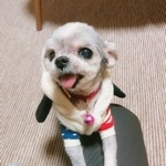 たつみん