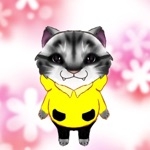userPhoto