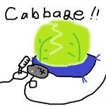CABBAGE