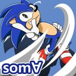 SOM∀(*´꒳｀*)