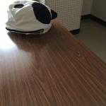 ぱんすてぃーん