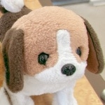 いぬ