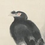 userPhoto