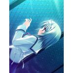 Saya