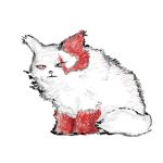 ぬるいゆ