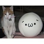 ロニ