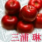 三浦琳