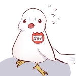 沙透 sasuka