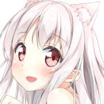 かるたも