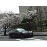 userPhoto