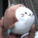こぬま