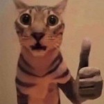あなーるでおなーる