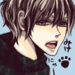 三毛猫