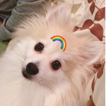 userPhoto