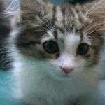 ひろくんちゃん
