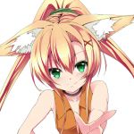 お休みライオン