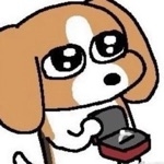 userPhoto