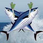 かちゅおペア