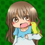 こんとんじょのいこー！