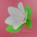 ウツギ