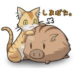 ざむお