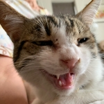 ユーザー画像