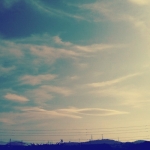 userPhoto