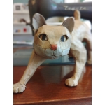 nagomiaqu