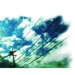 userPhoto