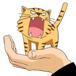 ピクニック
