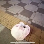 アダチーサブ3