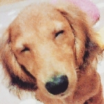 userPhoto