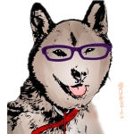 洋介犬
