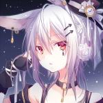 仔猫ひな