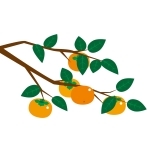 かかきき