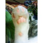 灰猫