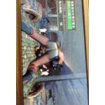userPhoto