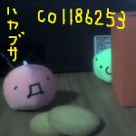 ハヤブサ
