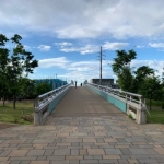 青木虚数