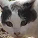 userPhoto