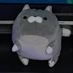 NESU
