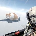 ナガヤン