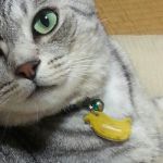 光宙