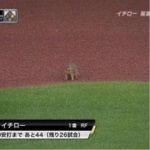 こじきしっど