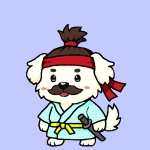 boso_sloth