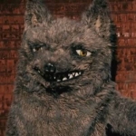̻̻̻